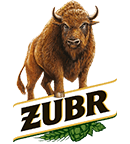 Żubr